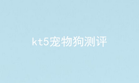 kt5宠物狗测评
