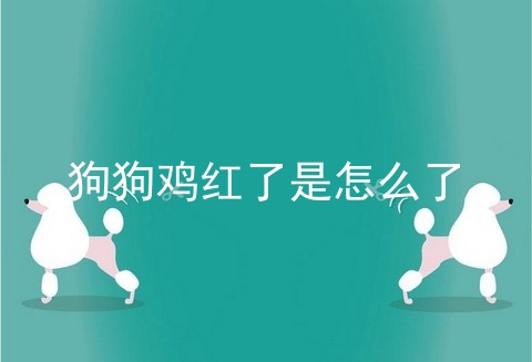 狗狗鸡红了是怎么了