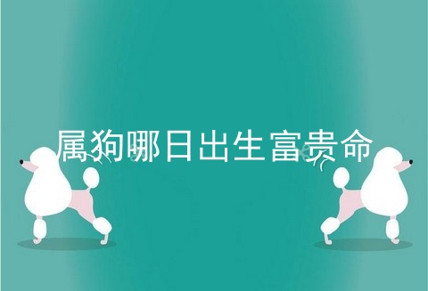 属狗哪日出生富贵命