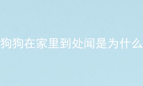 狗狗在家里到处闻是为什么