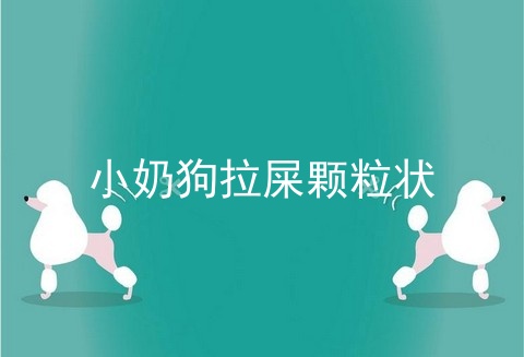 小奶狗拉屎颗粒状