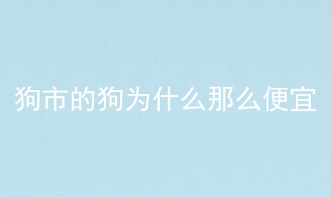 狗市的狗为什么那么便宜