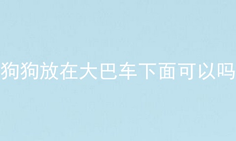 狗狗放在大巴车下面可以吗