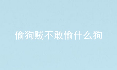 偷狗贼不敢偷什么狗