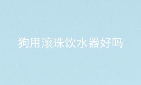 狗用滚珠饮水器好吗