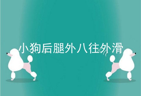 小狗后腿外八往外滑