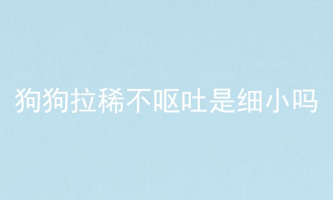 狗狗拉稀不呕吐是细小吗