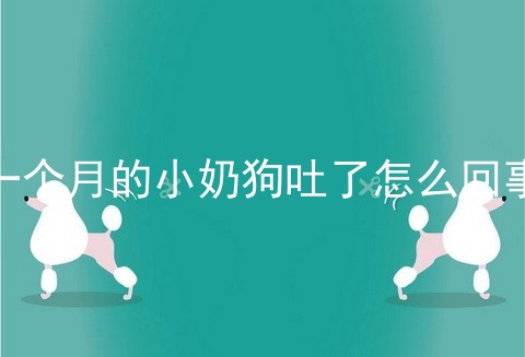 一个月的小奶狗吐了怎么回事
