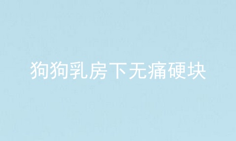 狗狗乳房下无痛硬块