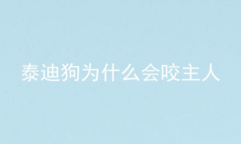泰迪狗为什么会咬主人