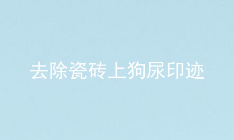 去除瓷砖上狗尿印迹