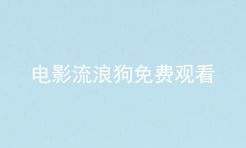 电影流浪狗免费观看