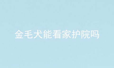 金毛犬能看家护院吗