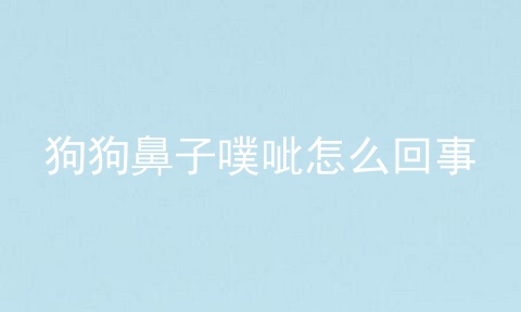 狗狗鼻子噗呲怎么回事