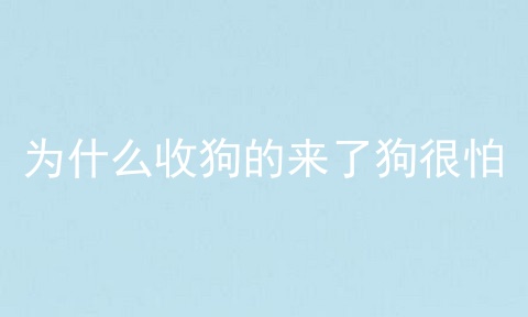 为什么收狗的来了狗很怕