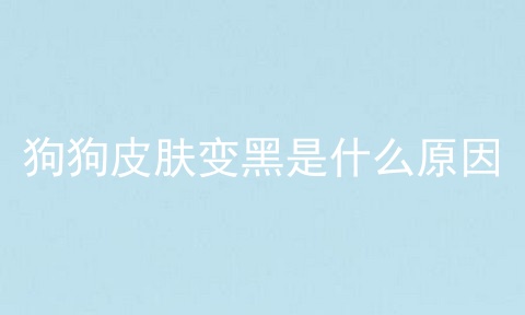 狗狗皮肤变黑是什么原因
