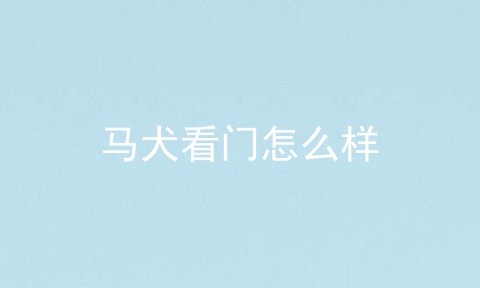 马犬看门怎么样