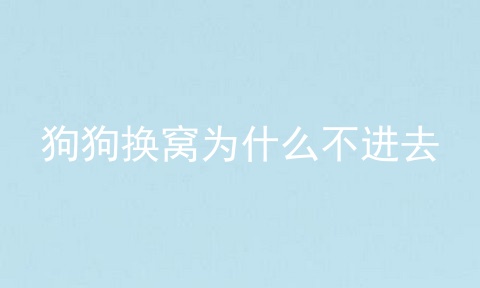 狗狗换窝为什么不进去