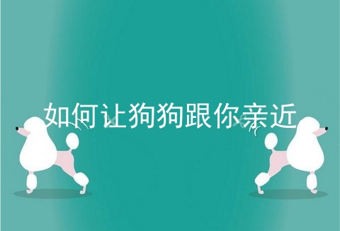 如何让狗狗跟你亲近