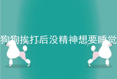 狗狗挨打后没精神想要睡觉