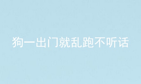 狗一出门就乱跑不听话