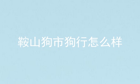 鞍山狗市狗行怎么样