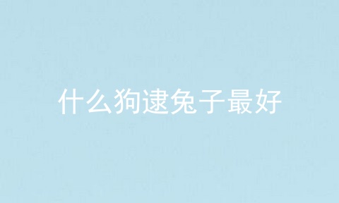 什么狗逮兔子最好