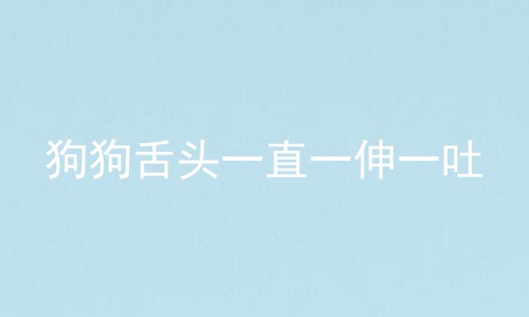 狗狗舌头一直一伸一吐