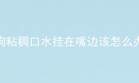 狗粘稠口水挂在嘴边该怎么办