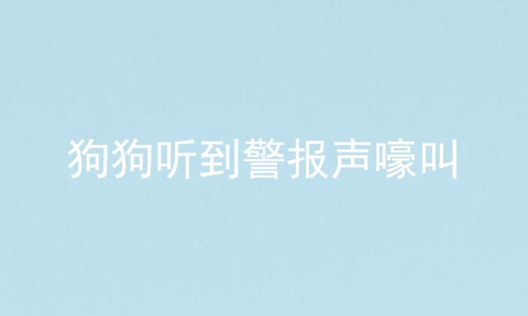 狗狗听到警报声嚎叫