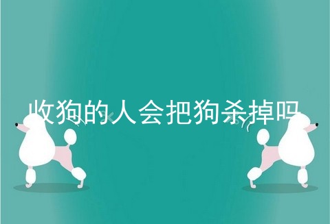 收狗的人会把狗杀掉吗