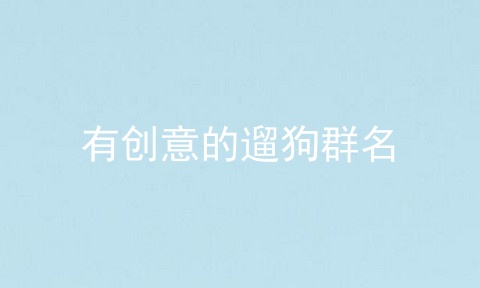 有创意的遛狗群名