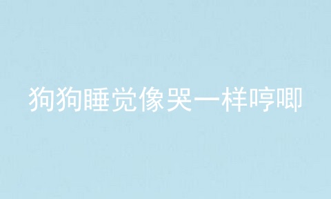 狗狗睡觉像哭一样哼唧