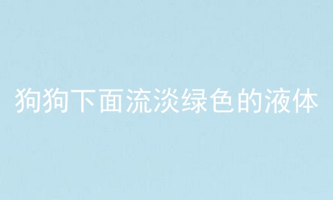狗狗下面流淡绿色的液体