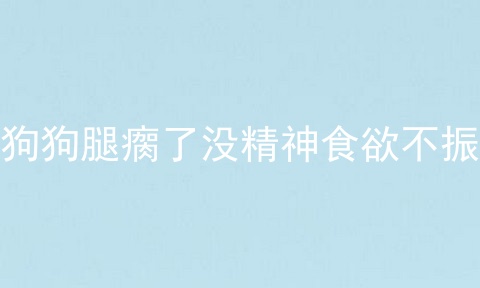 狗狗腿瘸了没精神食欲不振