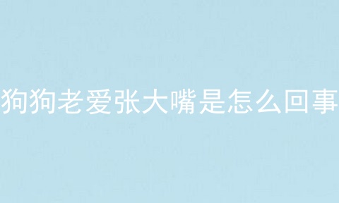 狗狗老爱张大嘴是怎么回事