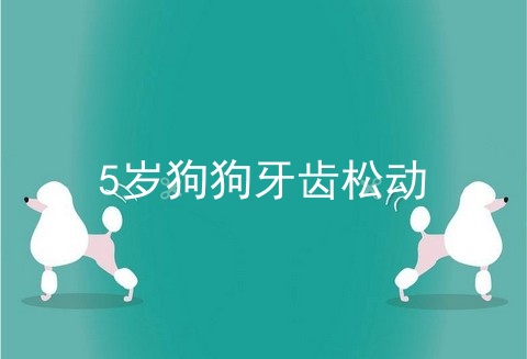 5岁狗狗牙齿松动