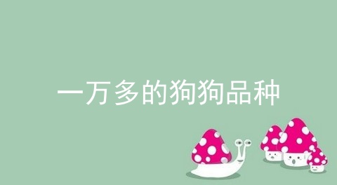 一万多的狗狗品种