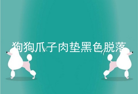 狗狗爪子肉垫黑色脱落