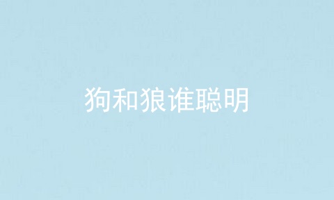 狗和狼谁聪明