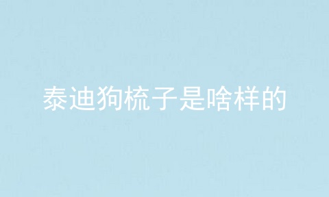 泰迪狗梳子是啥样的