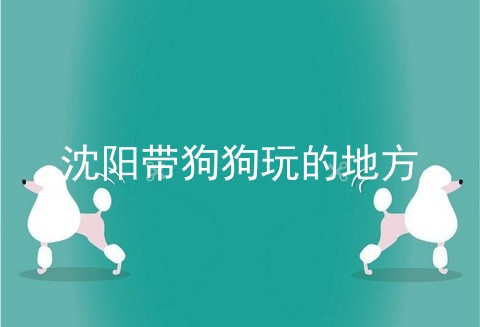 沈阳带狗狗玩的地方