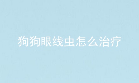 狗狗眼线虫怎么治疗