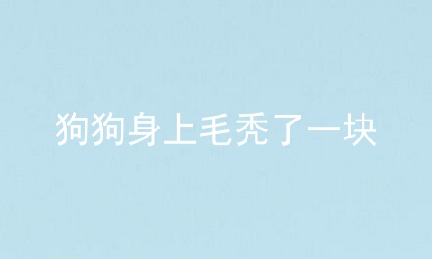 狗狗身上毛秃了一块
