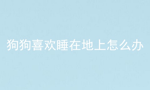 狗狗喜欢睡在地上怎么办