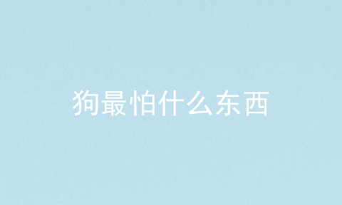 狗最怕什么东西