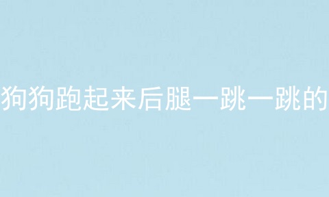 狗狗跑起来后腿一跳一跳的