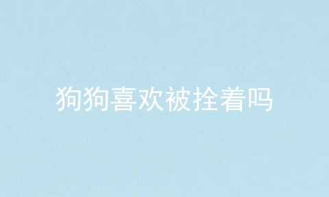 狗狗喜欢被拴着吗