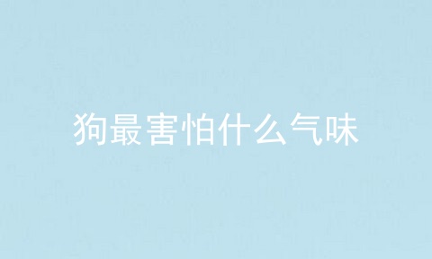 狗最害怕什么气味