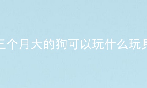 三个月大的狗可以玩什么玩具